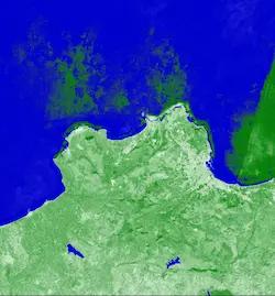 Sentinel-2 Quarterly Mosaics NDVI image