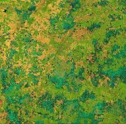 Sentinel-2 L2A Agriculture image